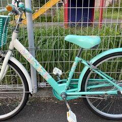 ブリジストンエコパル-Junior