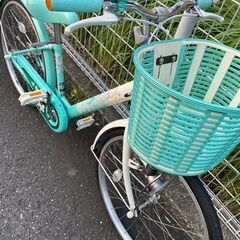 ブリジストンエコパル-Junior