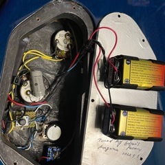 Combat guitars ST warm GUT エレガット