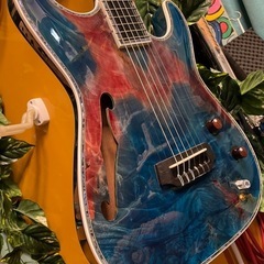 Combat guitars ST warm GUT エレガット