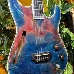 Combat guitars ST warm GUT エレガット