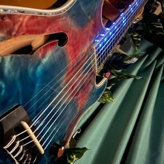 Combat guitars ST warm GUT エレガット