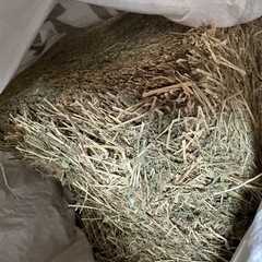 牧草刈り取り KUHNS.A.中古引き取り限定