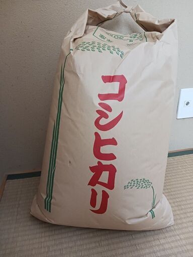2023年千葉県産コシヒカリ玄米30キロ 令和7年産】『コシヒカリ』 玄米30kg