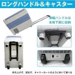 12V 24V AC 保冷 ポータブル 小型 40L クーラーボックス 家庭用電源付き キャンプ アウトドア ドライブ ee179