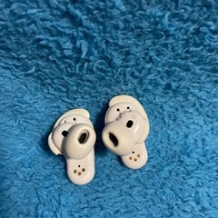 BOSE(ボーズ) Bose QuietComfort Earbuds II 