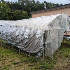 ビニールハウス骨組 受け渡し予定者決定