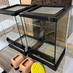 爬虫類ケージ グラステラリウムナノx2, レプタイルボックス x2など用品をセットでお譲りします