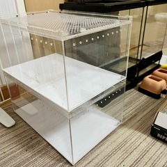 爬虫類ケージ グラステラリウムナノx2, レプタイルボックス x2など用品をセットでお譲りします