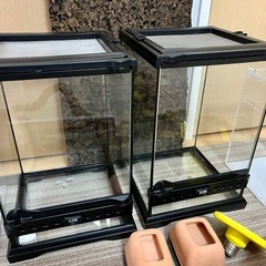 爬虫類ケージ グラステラリウムナノx2, レプタイルボックス x2など用品をセットでお譲りします