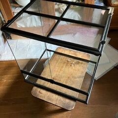 グラステラリウム６０６０大型お譲りします