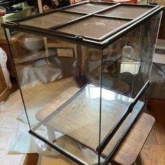 グラステラリウム６０６０大型お譲りします