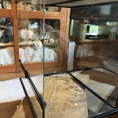 グラステラリウム６０６０大型お譲りします