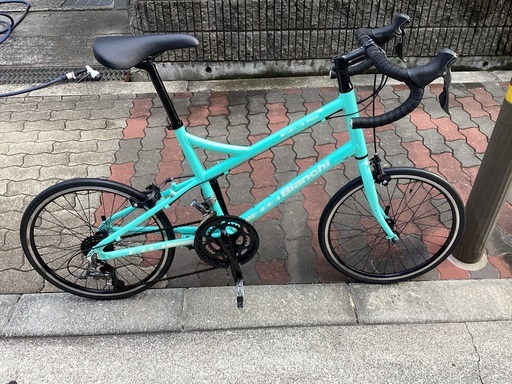 その他 branchi Pisa