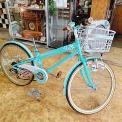 マハロジュニアE22インチ子供用自転車