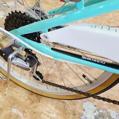 マハロジュニアE22インチ子供用自転車