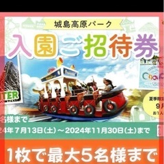 【残3枚】城島　城島高原パーク　遊園地　チケット