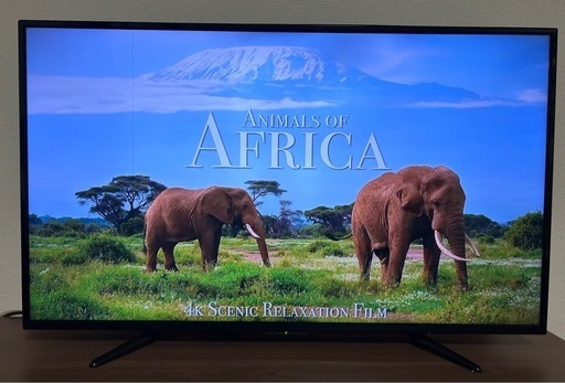 43型　4K対応液晶テレビ