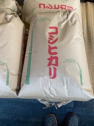 新米6年度産　コシヒカリ　30キロ