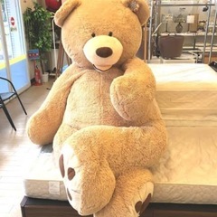 値下げ可‼️コストコの特大クマさん