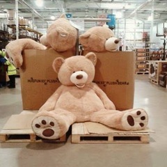 値下げ可‼️コストコの特大クマさん