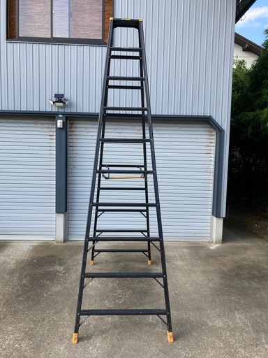 アルインコ 専用脚立 10尺（2,910mm） JAG-300B JAGUAR