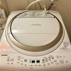 TOSHIBA ZABOON 縦型洗濯乾燥機 AW-8V8 2019年製 8kg