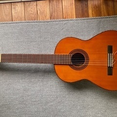 中古】豊田市駅の楽器を格安/激安/無料であげます・譲ります｜ジモティー 