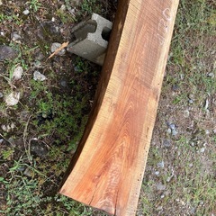 ベンチ　キャンプ　原木　丸太　木　天然木　DIY 一枚板