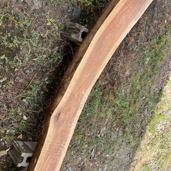 ベンチ　キャンプ　原木　丸太　木　天然木　DIY 一枚板