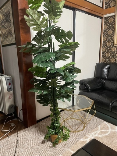フェイクグリーン 大きな植物 屋内