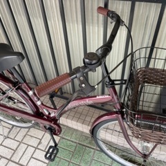 ?シティサイクル? Scalare style