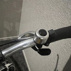 ルイガノ LOUIS GARNEAU ロードバイク　