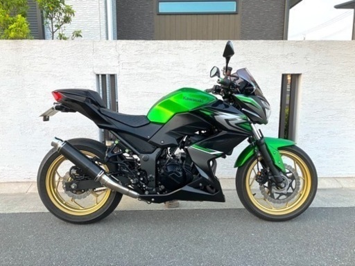 【売却済】Z250 Special Edition 加古川より ninja ニンジャ