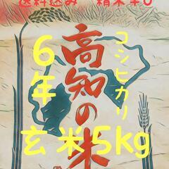 【ネット決済・配送可】ネット決済① 令和6年産 高知県産 コシヒ...