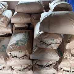こだわりの自家製米　安心安全　令和6年新米　コシヒカリ　30kg 10,000円
