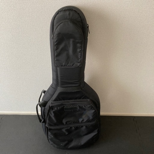 美品　ギターバックMooradian 2本入れ