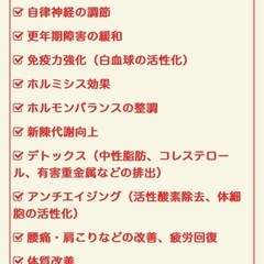 岩盤浴ドーム【ちゅらさんドーム】