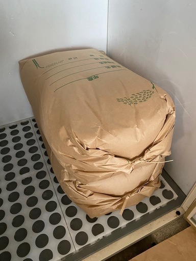 お米　令和5年産コシヒカリ　ラスト30kg