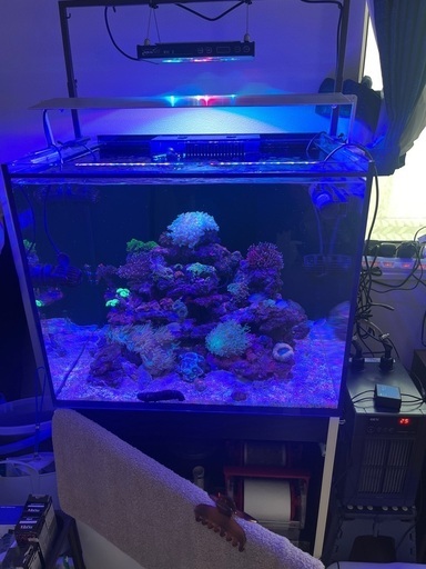 Reefer170  14万円　最終❗️