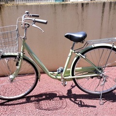 完売御礼】【大人用】整備済 サイモト 20型ギアなし ルーシャスミニ