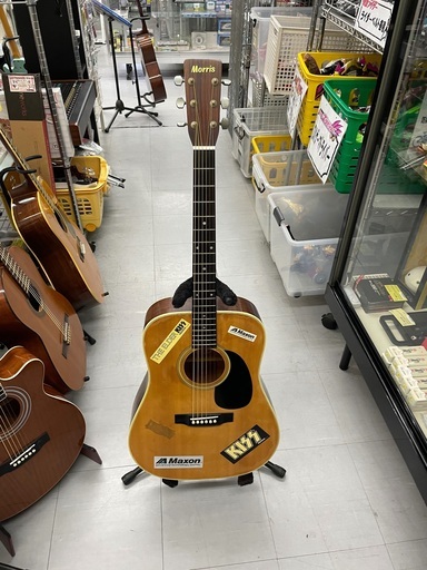 Morris W-20 アコースティックギター