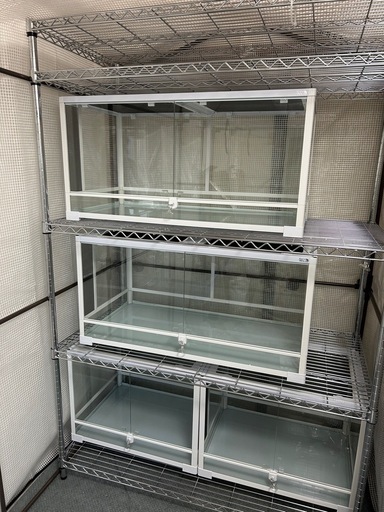 爬虫類ケージ