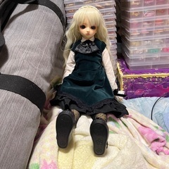 スーパードルフィー 女の子 教室bヘッド フルセット