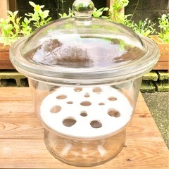 ガラス器具 デシケーター (大)　ガーデニング ガラスボトル 直径41cm サイエンスインテリア　☆配送応相談☆ ガラス器具 デシケーター (大) ガーデニング ガラスボトル 直径41cm