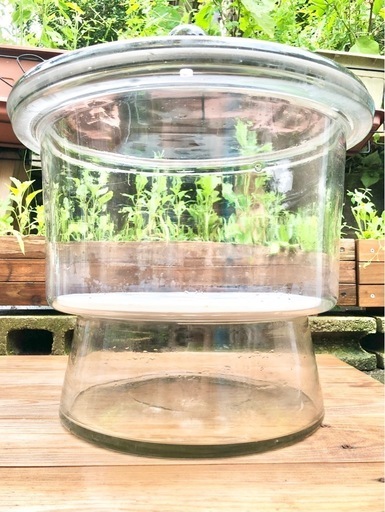 ガラス器具 デシケーター (大)　ガーデニング ガラスボトル 直径41cm サイエンスインテリア　☆配送応相談☆ ガラス器具 デシケーター (大) ガーデニング ガラスボトル 直径41cm