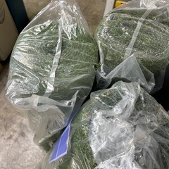 【再入荷】4185【未使用品】防草人工芝 アイリスソーコー 1m×5m×3 1m×2m×3 30mm 48平米分