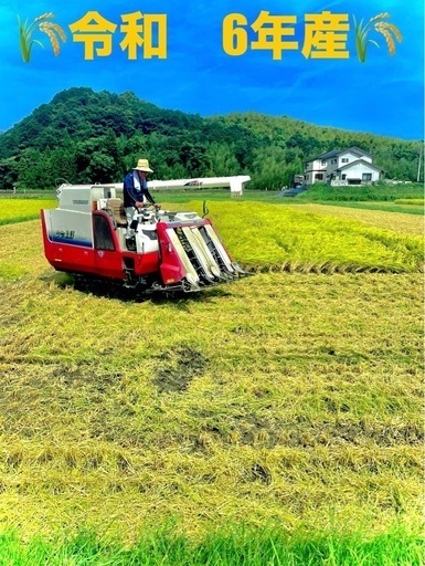 令6年新米⚠️完売しました⚠️