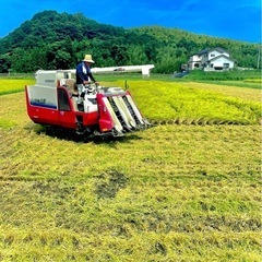 令6年🌾新米🌾⚠️完売しました⚠️