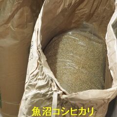 キヌヒカリの中古が安い!激安で譲ります・無料であげます|ジモティー